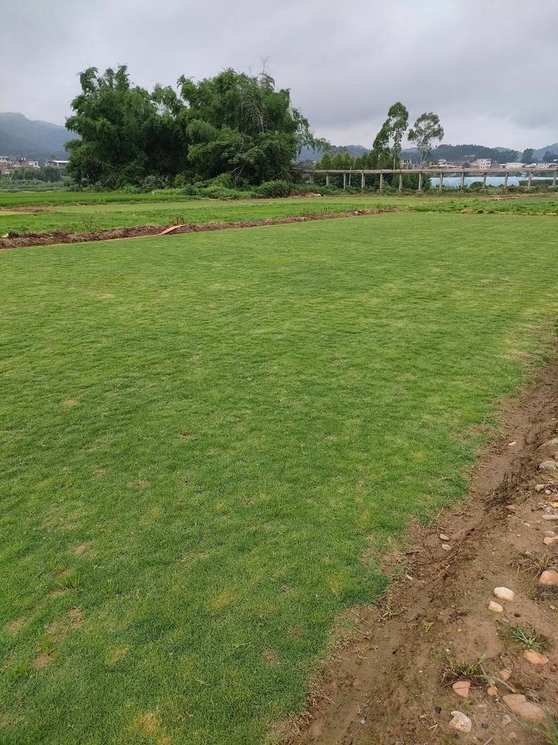 基地直发 草皮抖音助农中的畜产品购销新生态