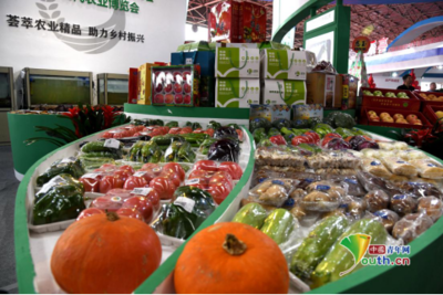 第九届唐山农产品展示交易会暨乐亭现代农业博览会开幕，聚焦畜产品购销贸易