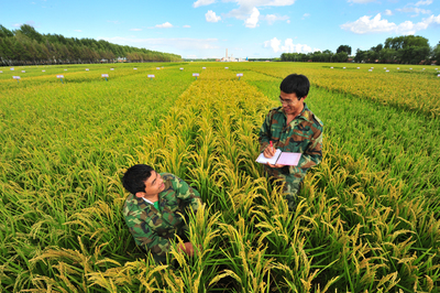 北大荒 青春好年华 蓄势再扬帆——写在黑龙江垦区开发建设七十周年之际