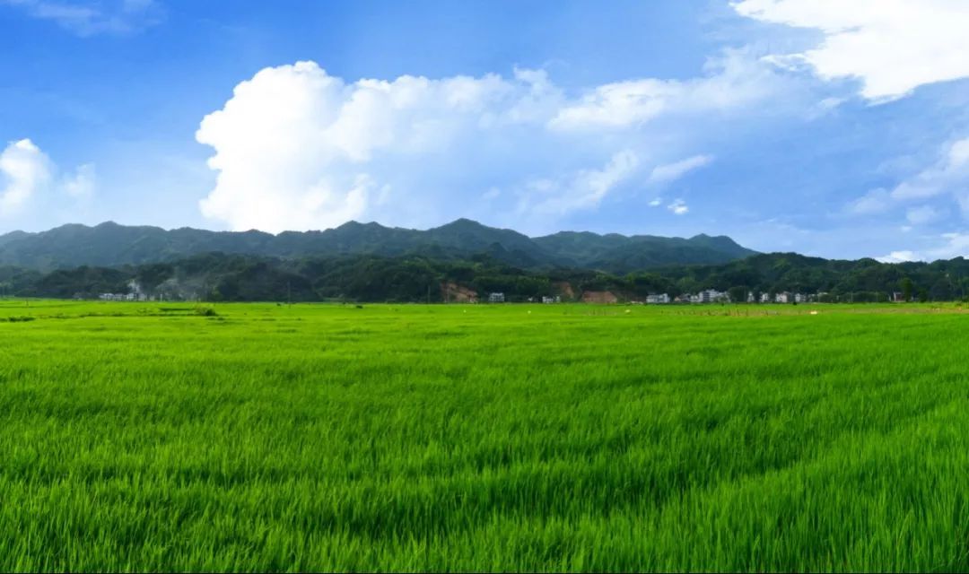 宜春吹响加快富硒产业发展集结号